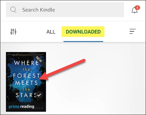 An ebook in "Downloaded" Section of the Kindle application.