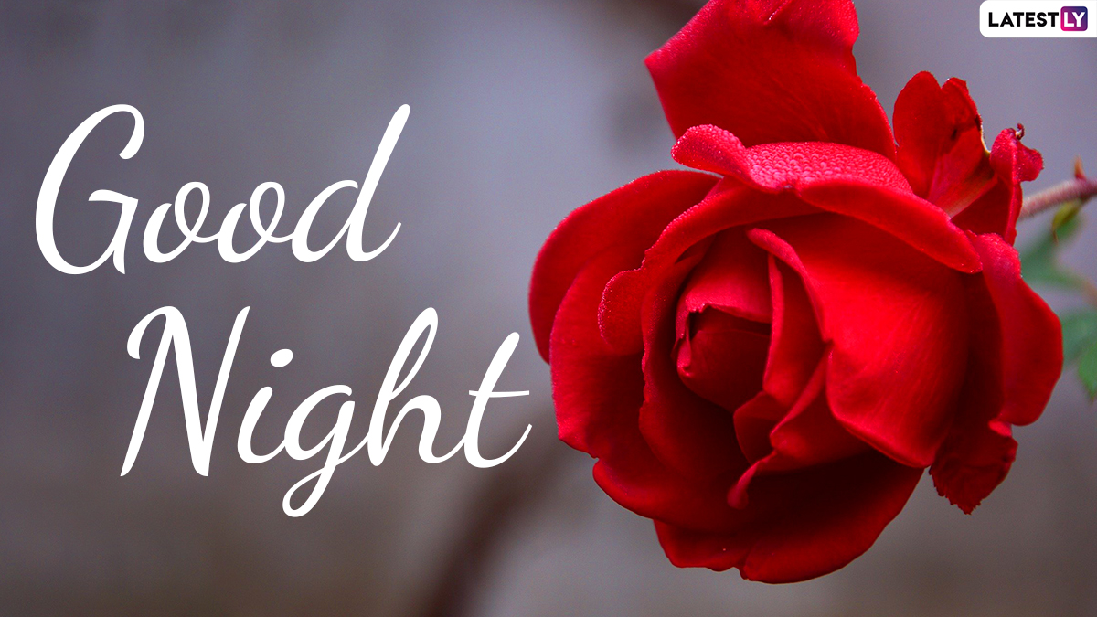 Good Night HD Images For Free Download In English: Good Night GIF ...