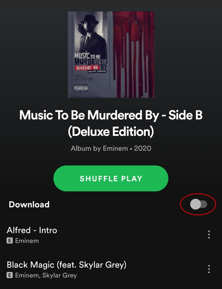download song from spotify to computer