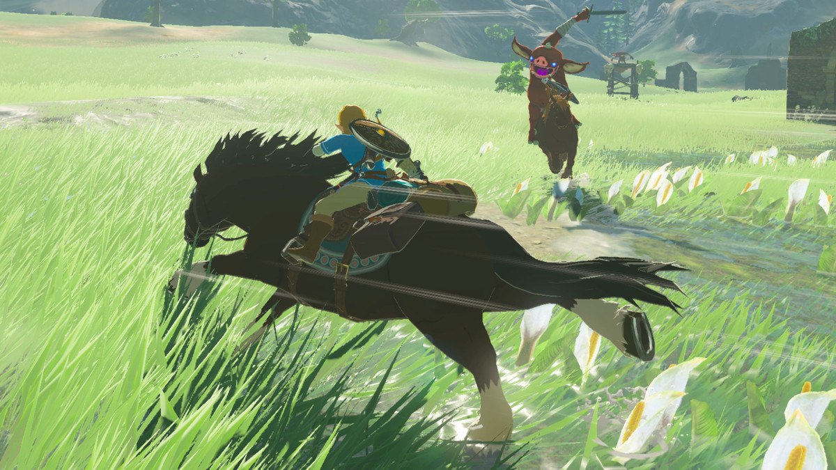 Zelda's Legend: The Wild Breath