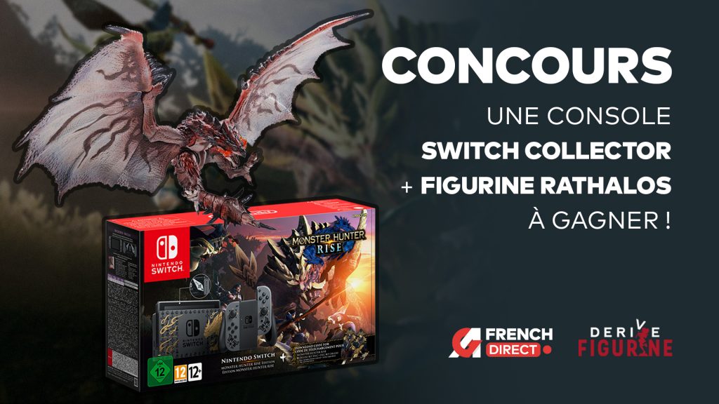 Concours AGFD Switch Rathalos 16x9 v6 3
