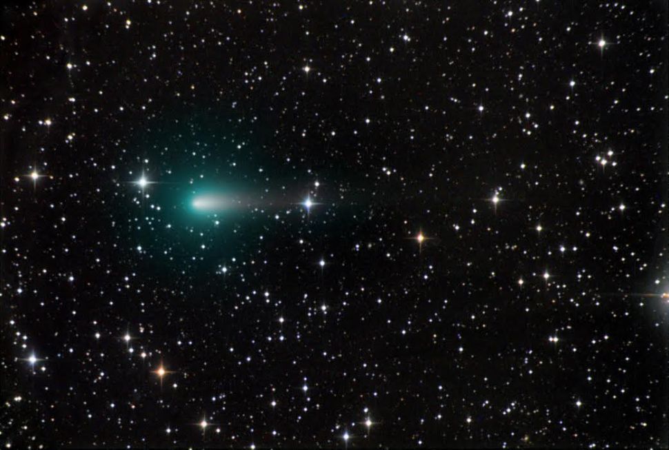 A large comet from a distance of the Solar System is approaching Earth