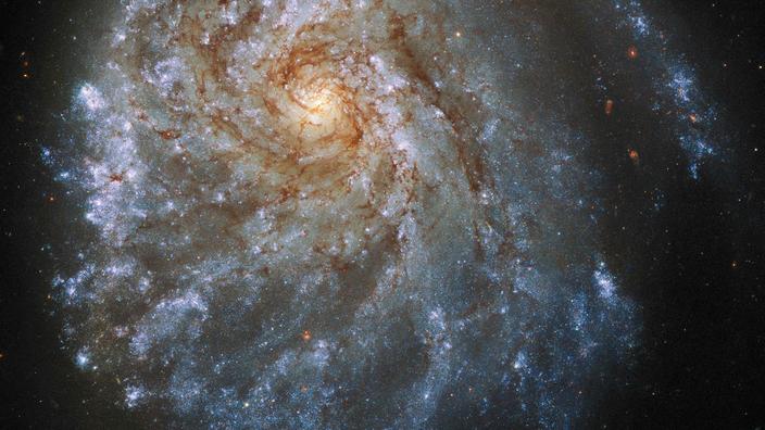 Image de la galaxie NGC 2276 prise par le télescope Hubble.