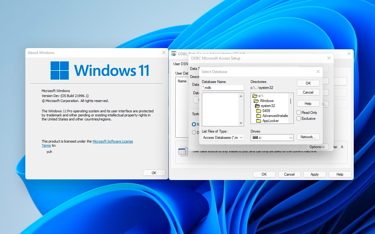 Windows 11 Windows 3.1