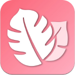plantir icone app ipa iphone ipad