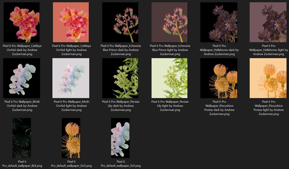 Pixel Plant Wallpapers 6 Pro