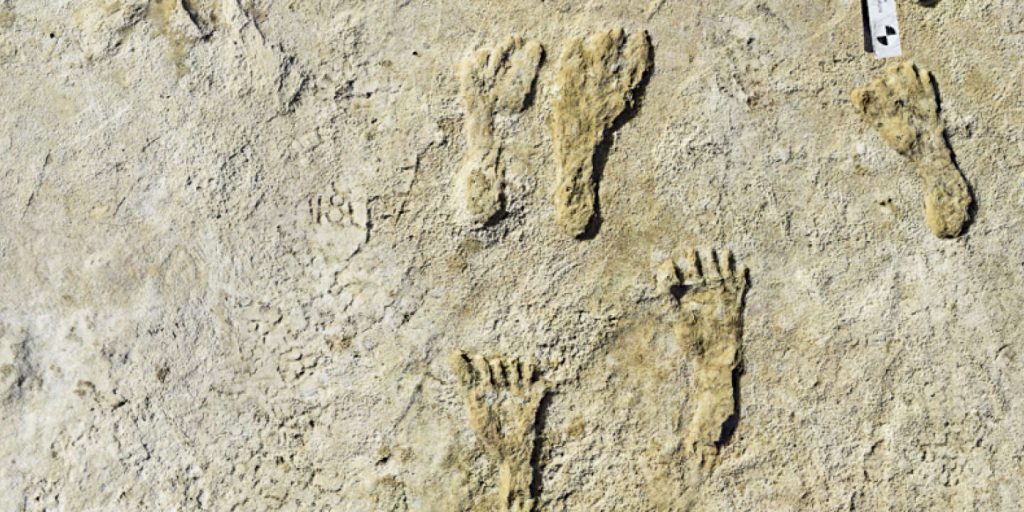 23,000-year-old human footprints rewrite American immigration history