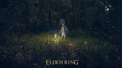 Elton Ring: 2 new images and a preview of the day / night cycle revealed, and 30 seconds of play in the run