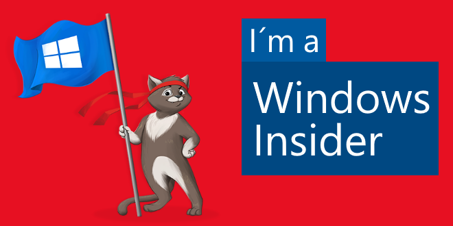 Windows 11 Insider Build 22483 im Developer Kanal: Microsoft betreibt Systempflege