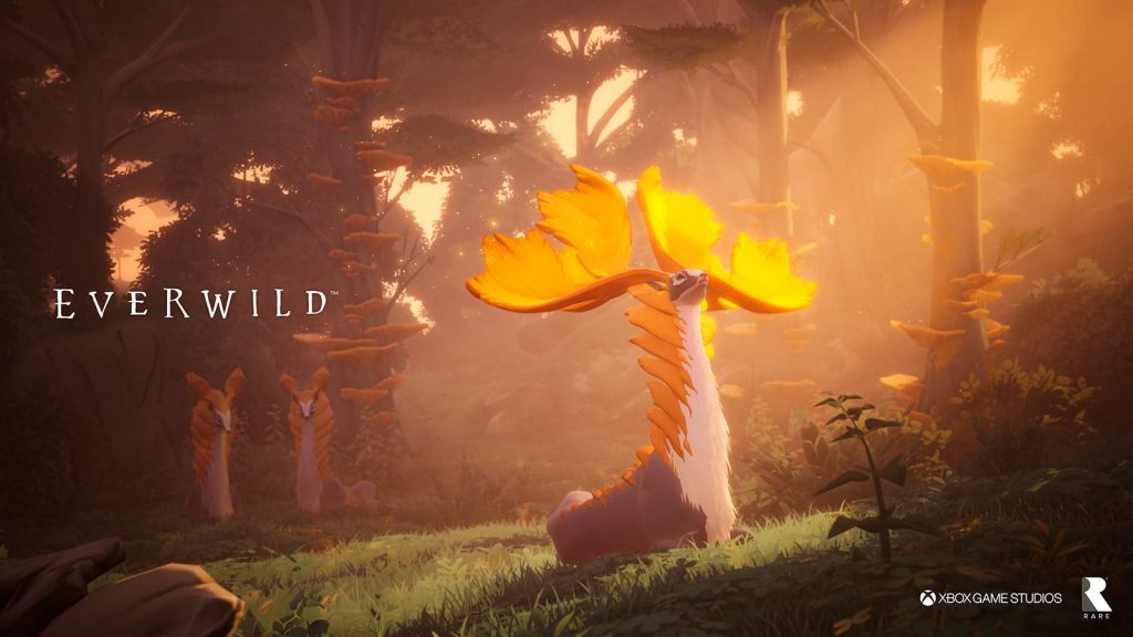 Everwild: Rare new game updates via Matt Locky |  Xbox One