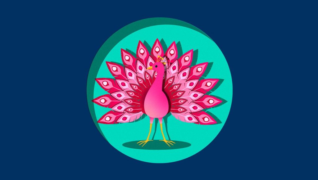 Pink peacock
