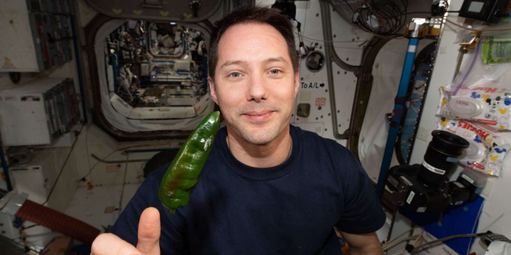 The first tacos with space peppers on the menu of the International Space Station
