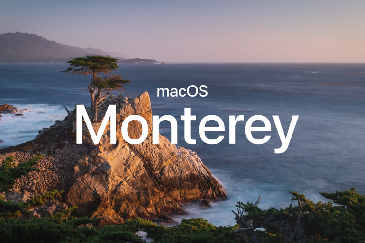 Here is the natural wallpaper for MacOS Monterey that Apple did not do