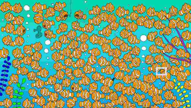 Test: Where does the goldfish hide?  No one is watching!