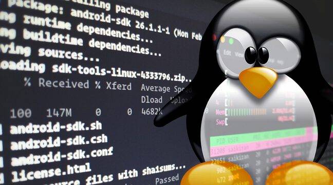 Terrible malware targeting Linux computers
