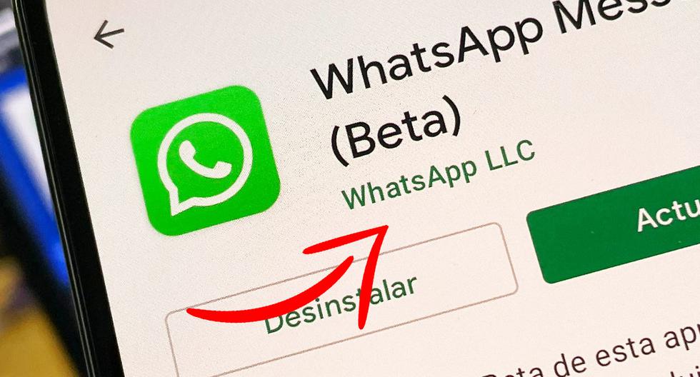 WhatsApp LLC |  What does it mean |  what is that?  Applications |  Download |  2021 |  Smartphone |  Google Play |  IOS Store |  Enda |  nnni