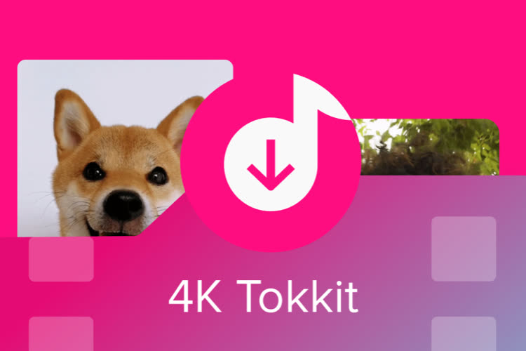 Download TikTok Video from Accounts and Hashtags with 4K Tokit!  ⁇