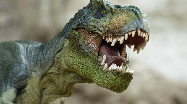 Hundreds of dinosaur tracks were found in a mine