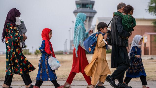 "Traveling out" visa: Germany issues 5,600 visas to local workers from Afghanistan - Politics