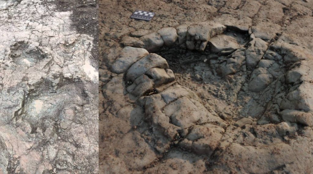 GB, dinosaur footprints found 200 million years ago off the coast of Wales