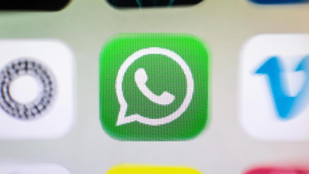 WhatsApp update should be networked with each other