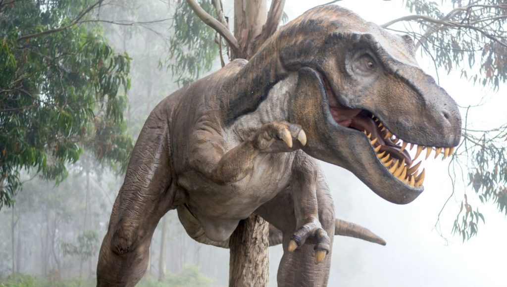 We finally know why the T-Rex had such small arms