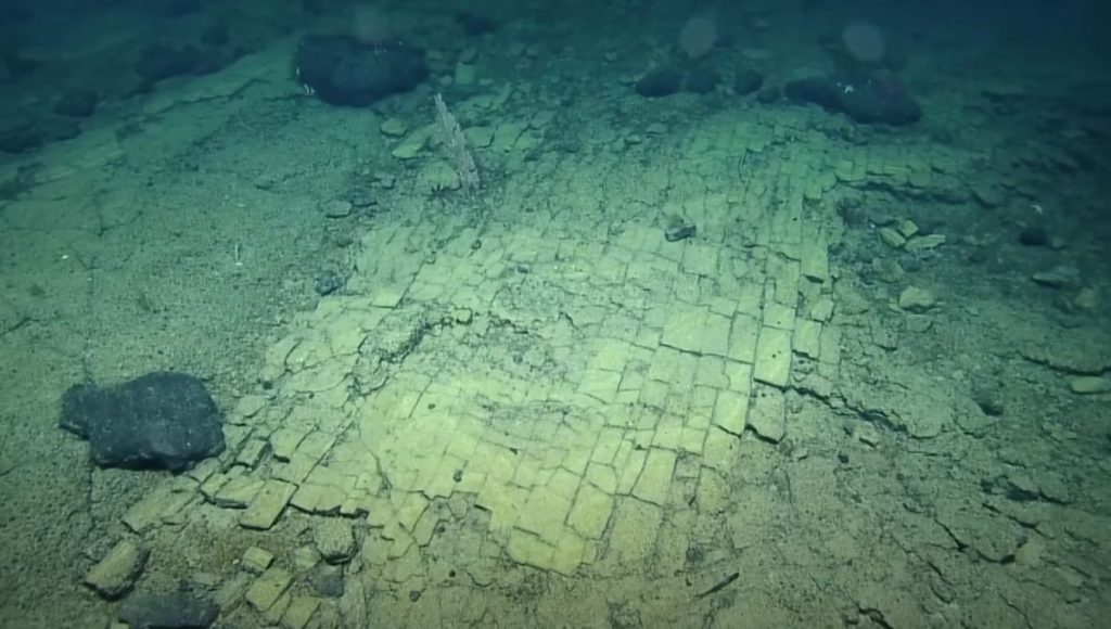 "Yellow Brick Road" discovered in the unknown depths of the Pacific