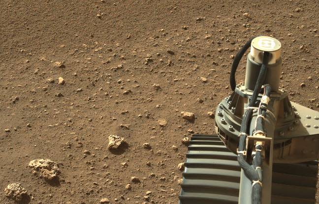 What are these strange threads photographed by the Perseverance rover on Mars?